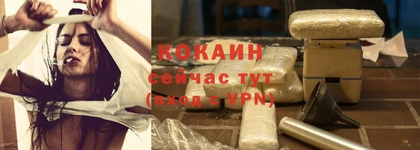 PSILOCYBIN Магас