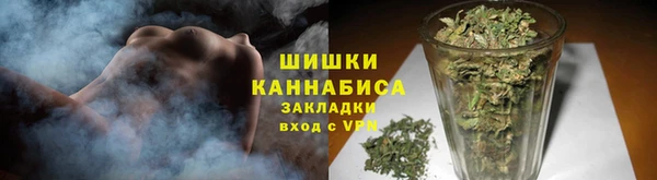 PSILOCYBIN Магас