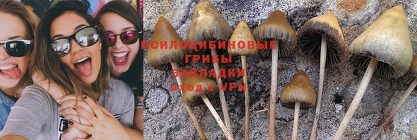 PSILOCYBIN Медвежьегорск