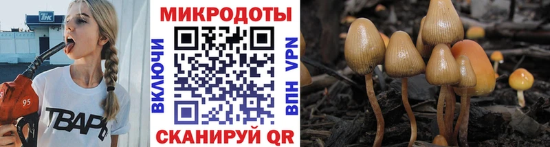 Купить где  Калтан  Псилоцибиновые грибы Psilocybe 