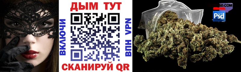 Купить где  Калтан  МАРИХУАНА SATIVA & INDICA 